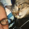 tippytabbycat